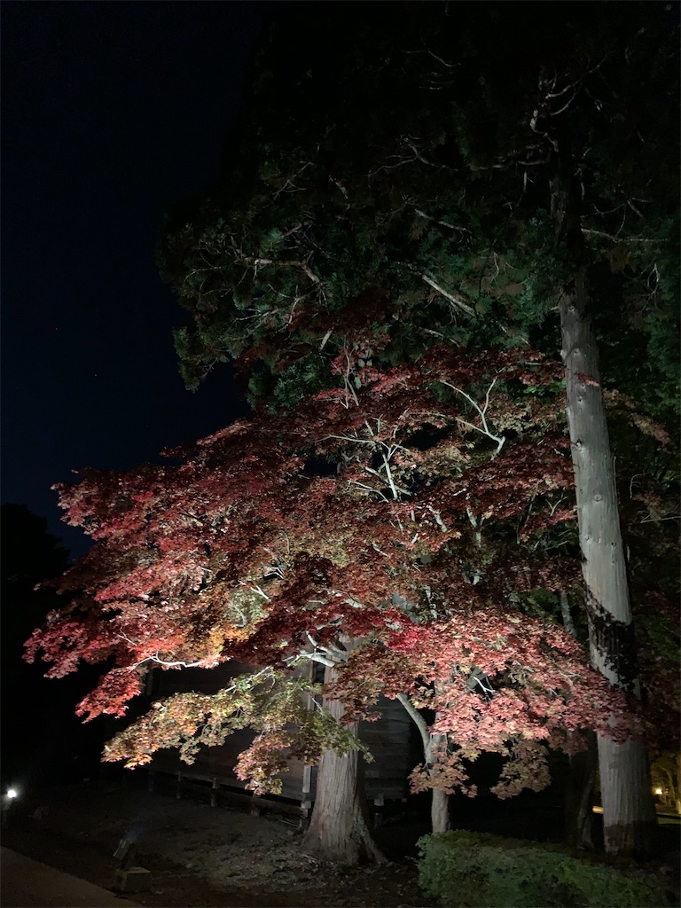 f:id:chiki-chiki_odekake:20201015224724j:image