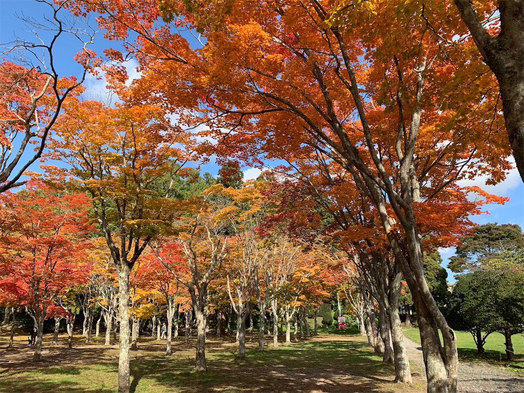 f:id:chiki-chiki_odekake:20201024173500j:image