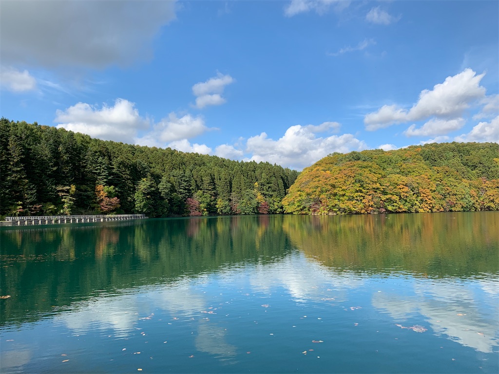 f:id:chiki-chiki_odekake:20201024173503j:image