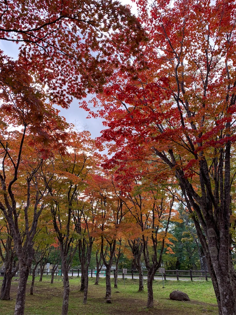 f:id:chiki-chiki_odekake:20201024173510j:image