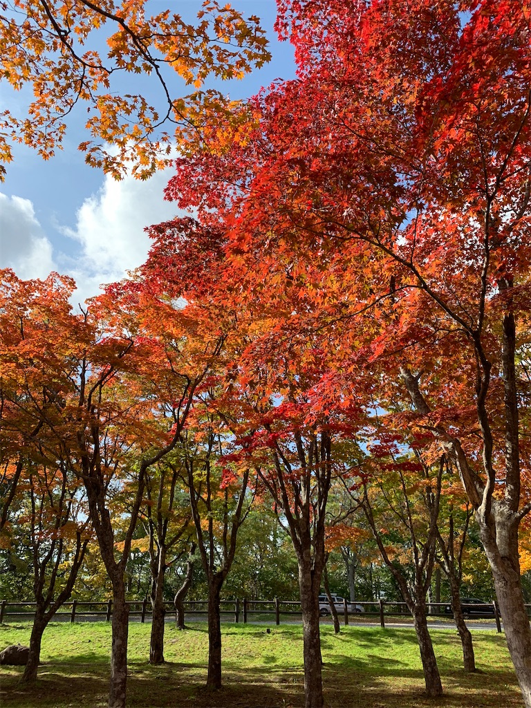 f:id:chiki-chiki_odekake:20201024173515j:image