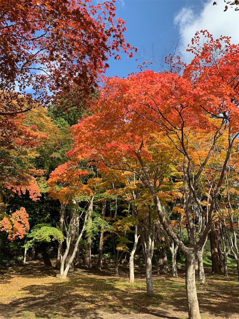 f:id:chiki-chiki_odekake:20201024173518j:image