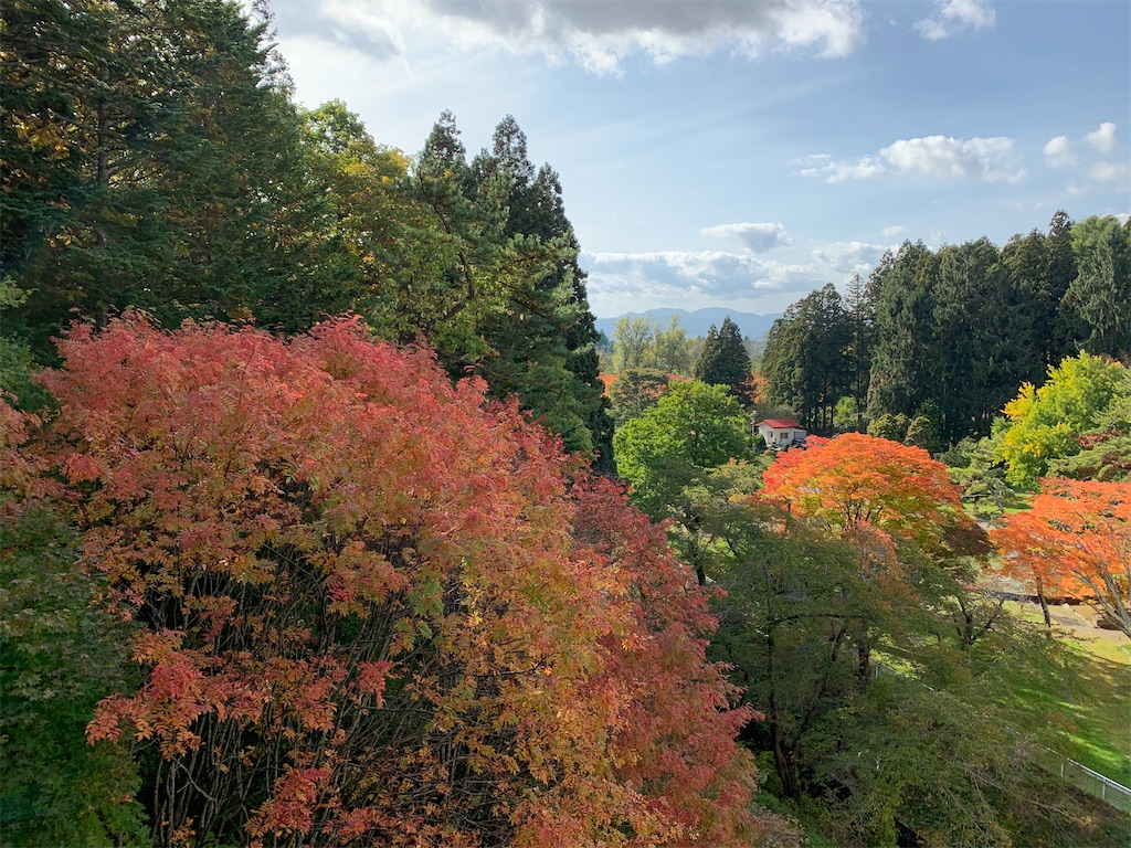 f:id:chiki-chiki_odekake:20201024173522j:image