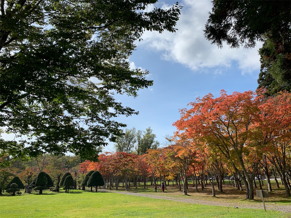 f:id:chiki-chiki_odekake:20201024173534j:image