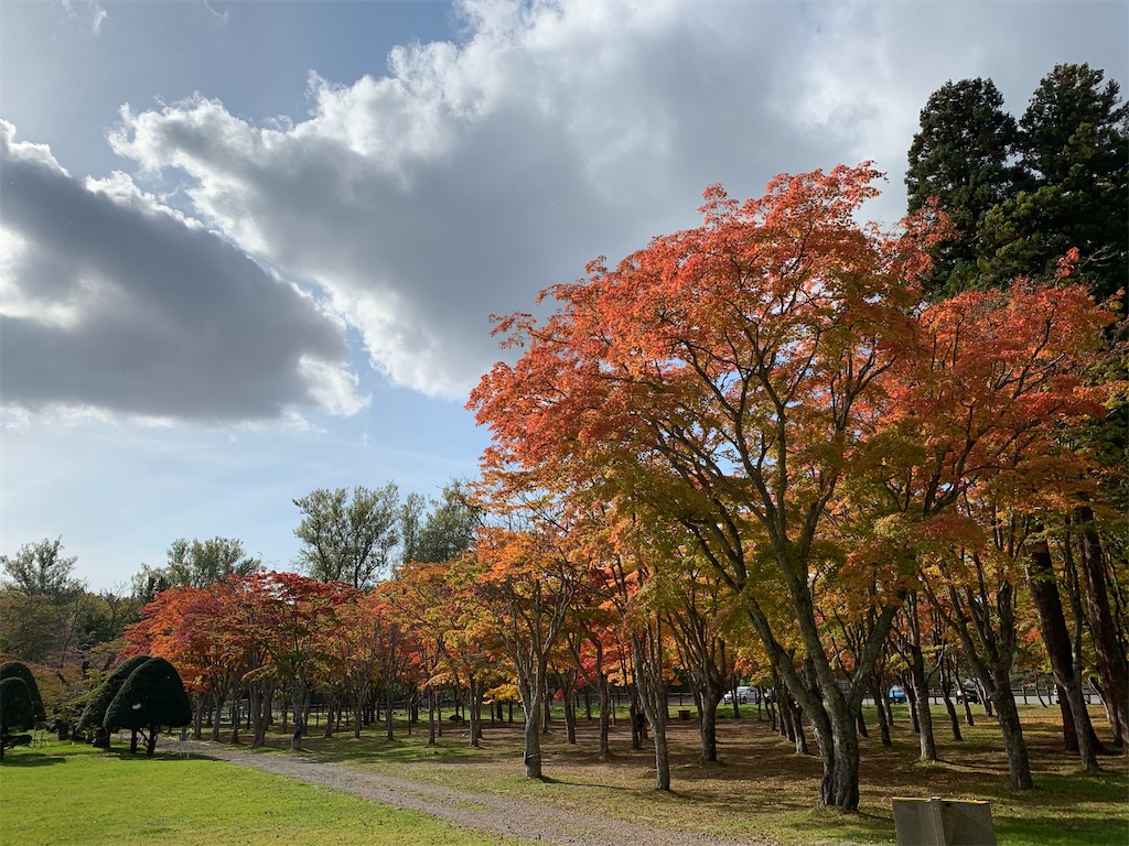 f:id:chiki-chiki_odekake:20201024173545j:image