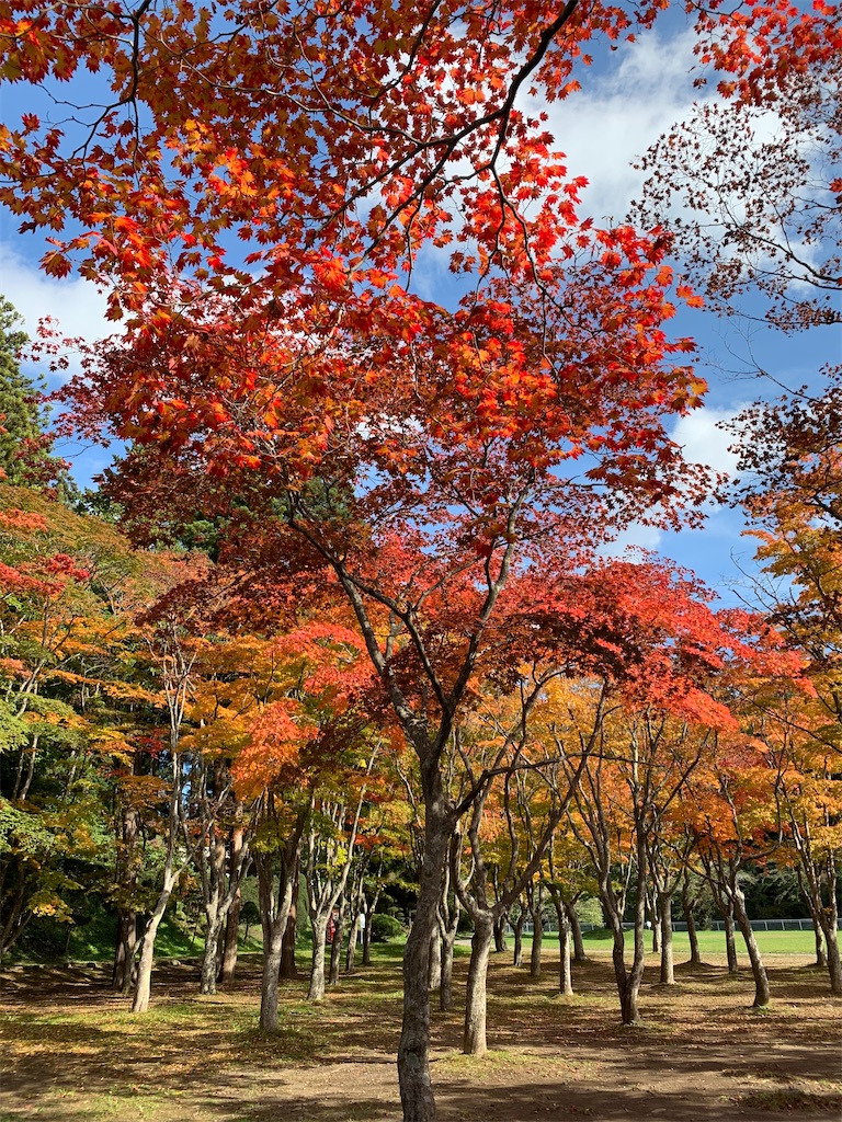 f:id:chiki-chiki_odekake:20201024173558j:image