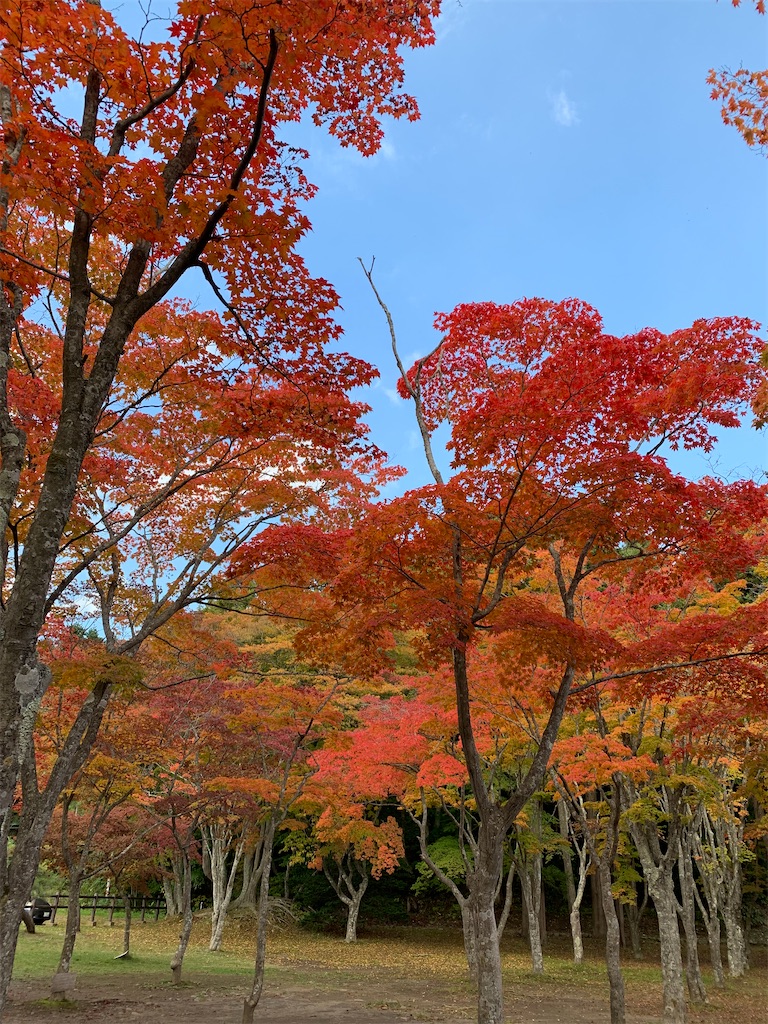 f:id:chiki-chiki_odekake:20201024173602j:image