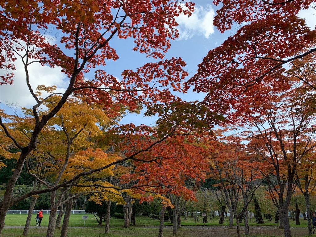 f:id:chiki-chiki_odekake:20201024173605j:image