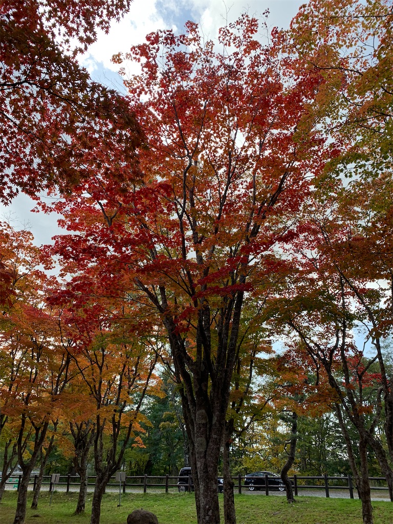 f:id:chiki-chiki_odekake:20201024173621j:image