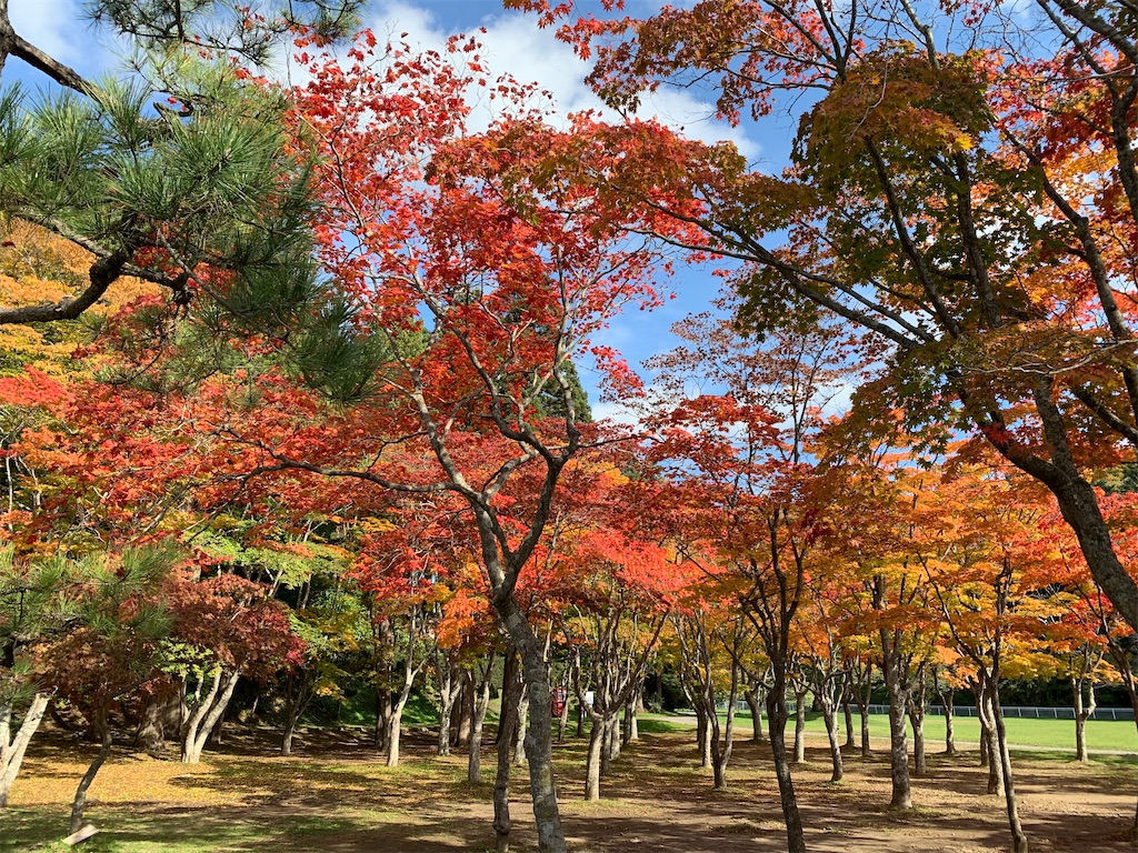 f:id:chiki-chiki_odekake:20201024173639j:image