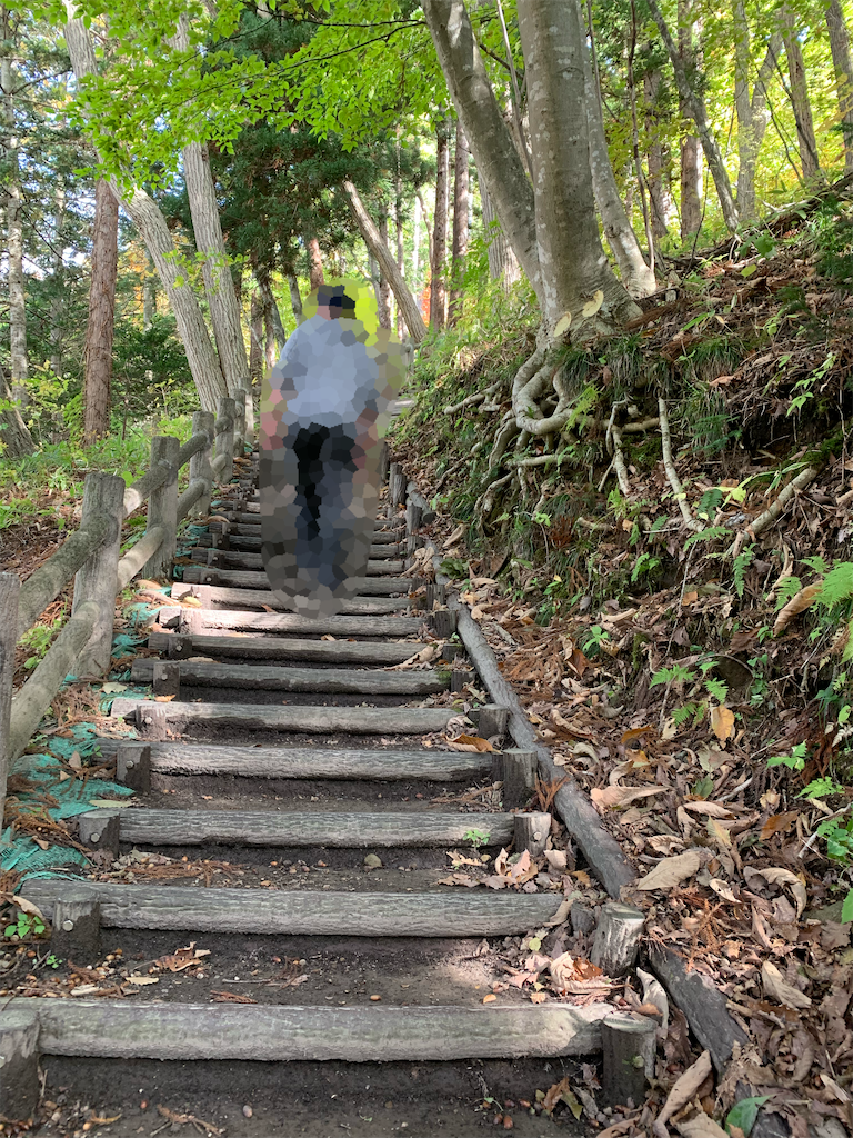 f:id:chiki-chiki_odekake:20201025092306p:image