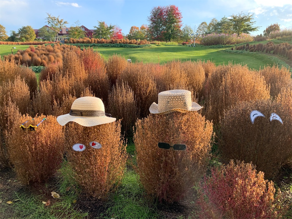 由仁町 ゆにガーデン 北海道最大級 000株のコキアの丘 真っ赤なコキアを見たくて ゆにガーデン へ ちきちきのおでかけ日記