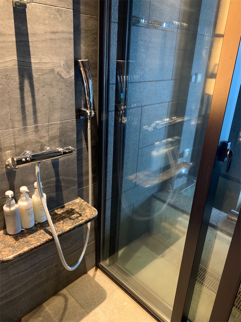 f:id:chiki-chiki_odekake:20210109215038j:image