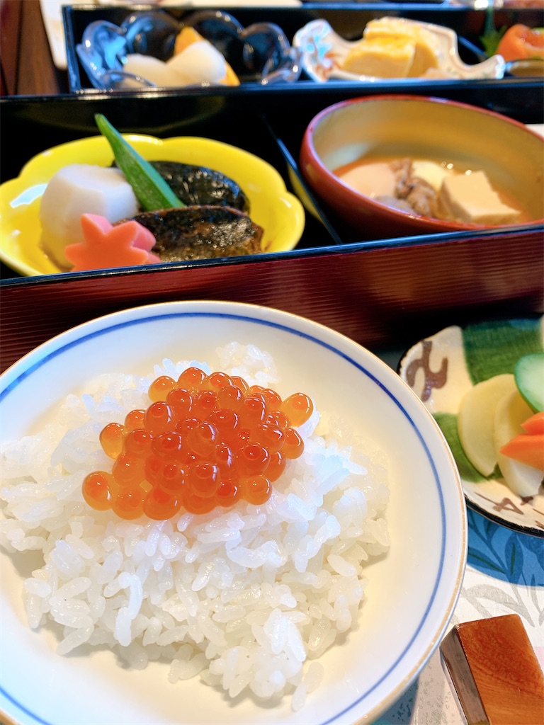 f:id:chiki-chiki_odekake:20210214222652j:image