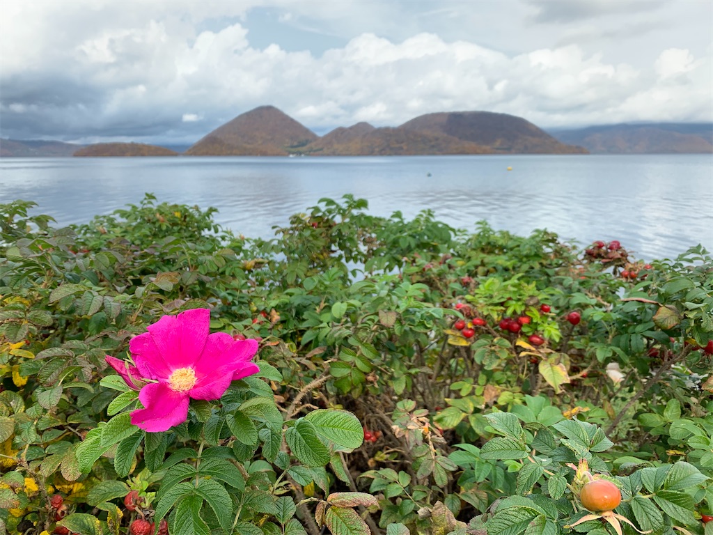 f:id:chiki-chiki_odekake:20210225113519j:image