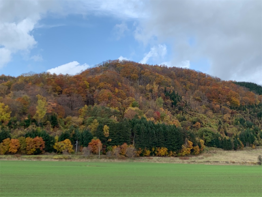 f:id:chiki-chiki_odekake:20210225113524j:image