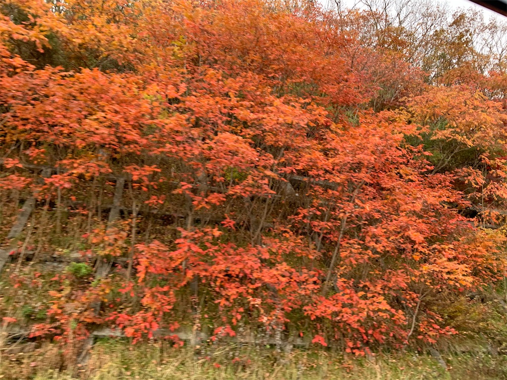 f:id:chiki-chiki_odekake:20210225113527j:image