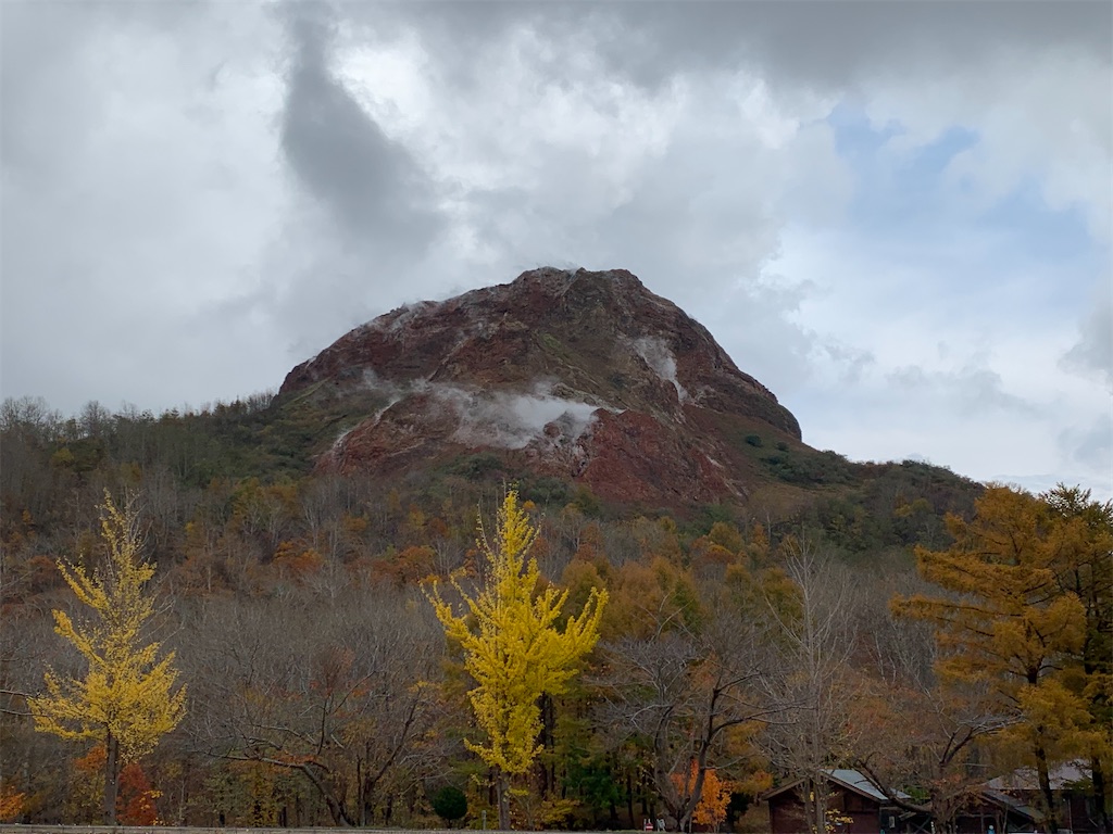 f:id:chiki-chiki_odekake:20210225113545j:image