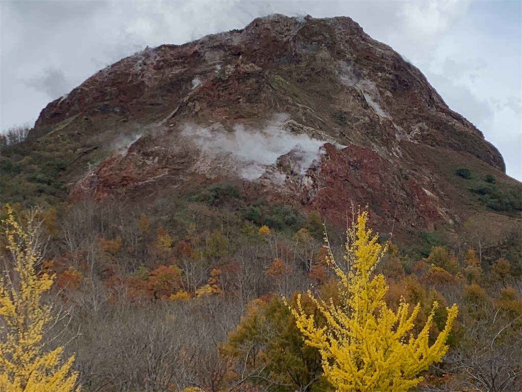 f:id:chiki-chiki_odekake:20210225113555j:image