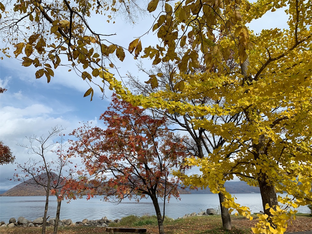 f:id:chiki-chiki_odekake:20210225231825j:image