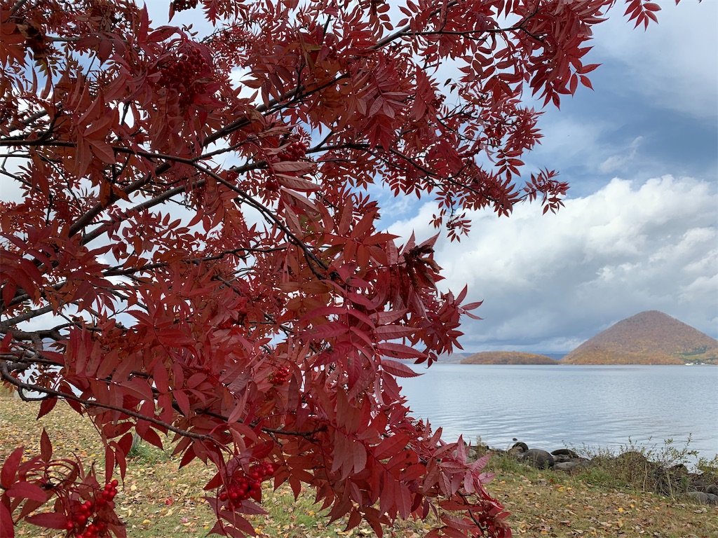 f:id:chiki-chiki_odekake:20210225231848j:image