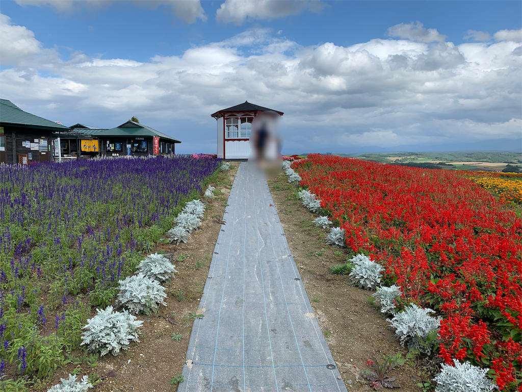 f:id:chiki-chiki_odekake:20210915112812p:image