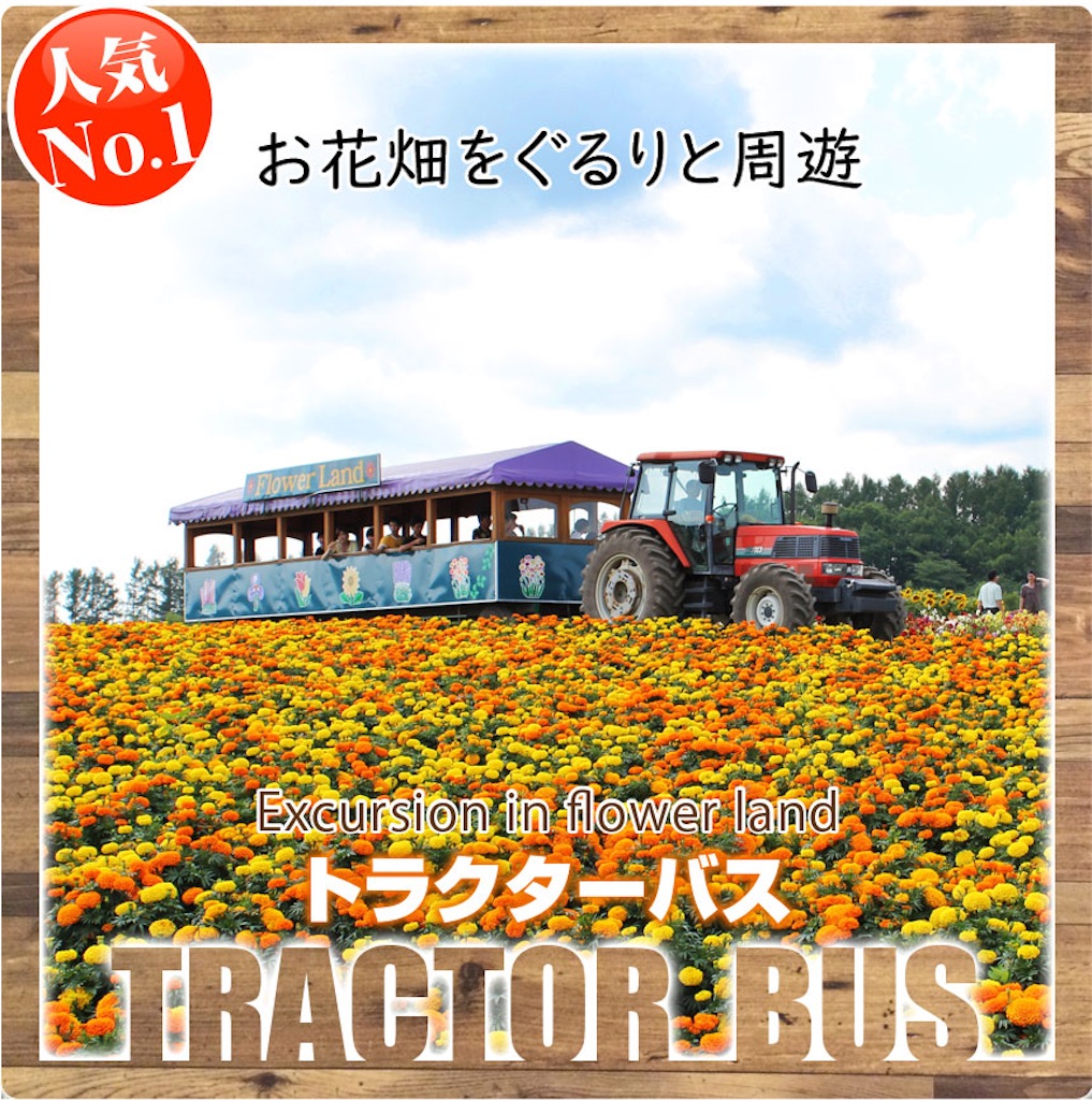 f:id:chiki-chiki_odekake:20210915113315j:image