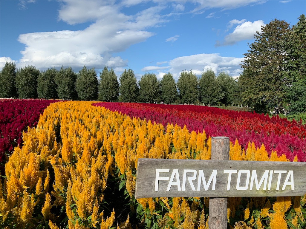 ファーム富田】〜北海道・中富良野町〜富良野に行ったら必ず行きたい