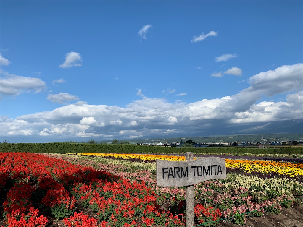 ファーム富田】〜北海道・中富良野町〜富良野に行ったら必ず行きたい