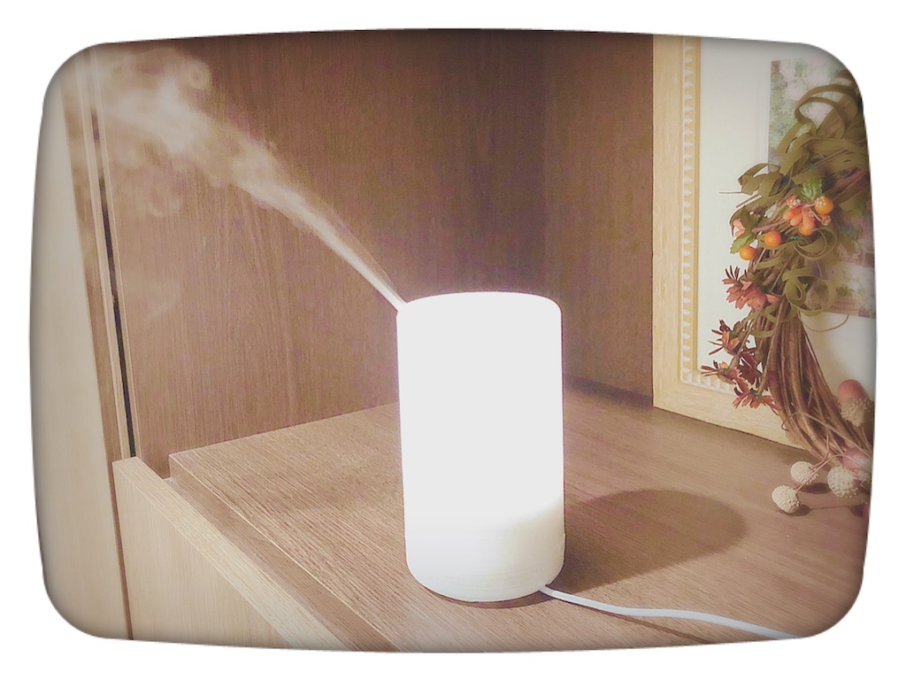 f:id:chiki-no3:20190303154245j:image