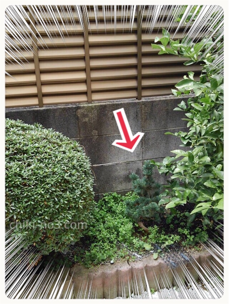 f:id:chiki-no3:20190601192253j:image