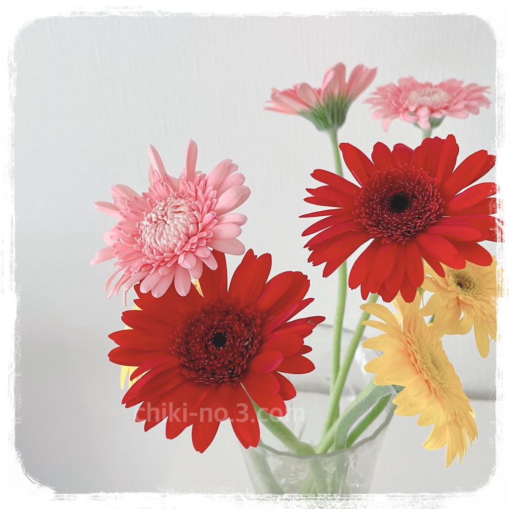 f:id:chiki-no3:20221004030634j:image