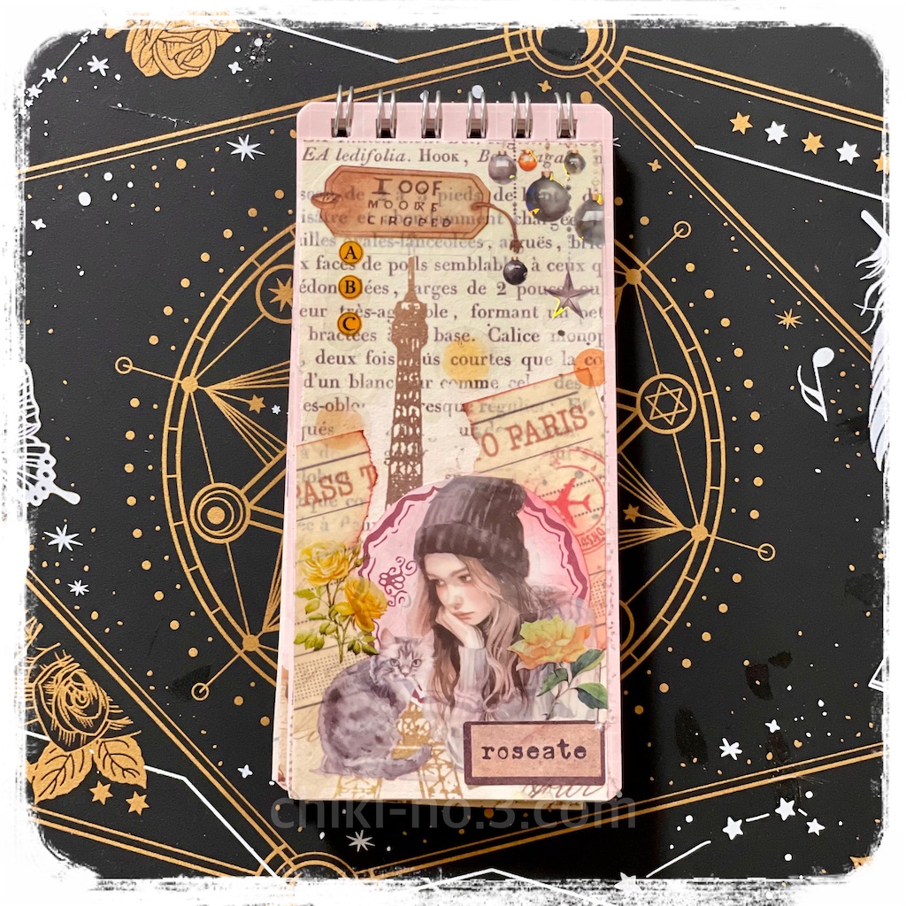 f:id:chiki-no3:20241217193013j:image
