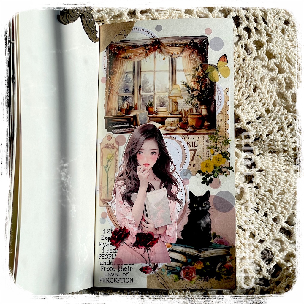 f:id:chiki-no3:20250224171017j:image