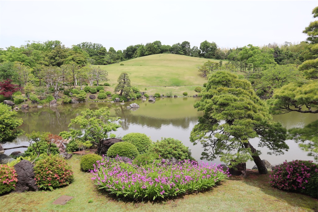 f:id:chikichikichiki:20250519070535j:image