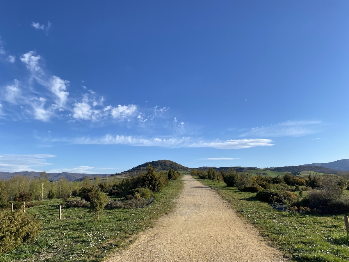 f:id:chikikun:20220417230947j:plain