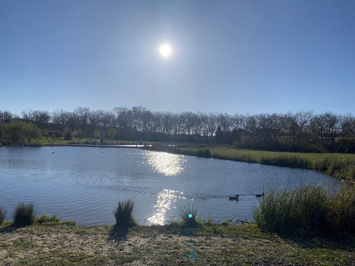 f:id:chikikun:20220417231032j:plain