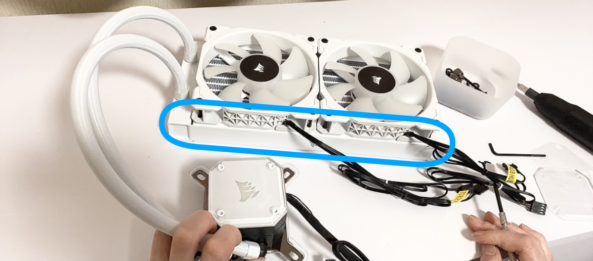 f:id:chikixxx:20220127150648j:plain