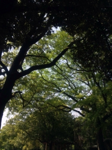 f:id:chiko0822:20150506220517j:image:w360
