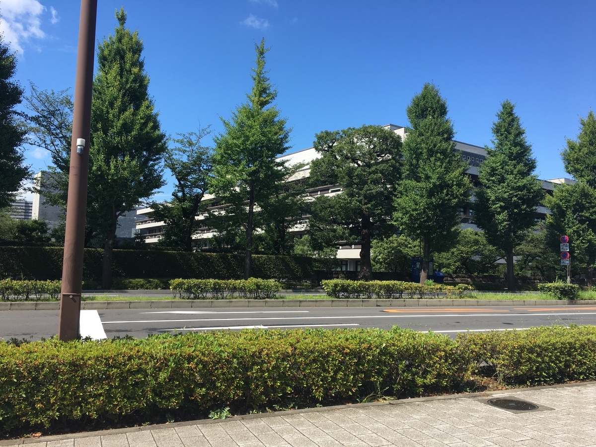 f:id:chiko_yama:20210810165119j:plain