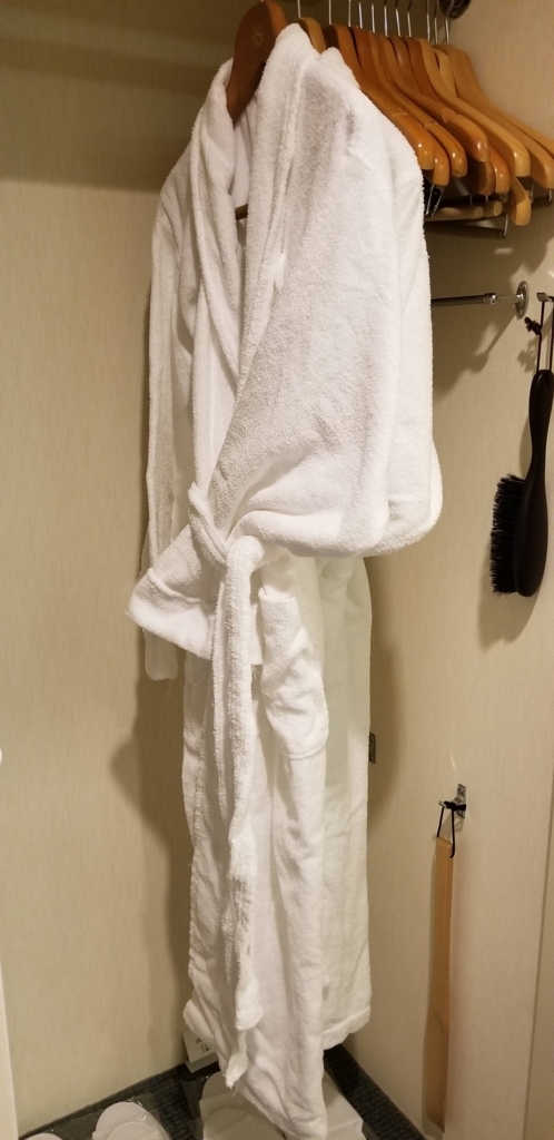 f:id:chikochikorin:20180804105302j:plain
