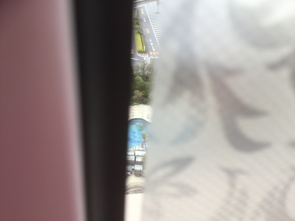 f:id:chikochikorin:20200317103826j:plain