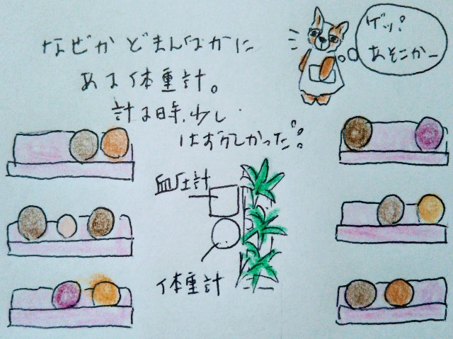 f:id:chikogo:20190130152013j:image