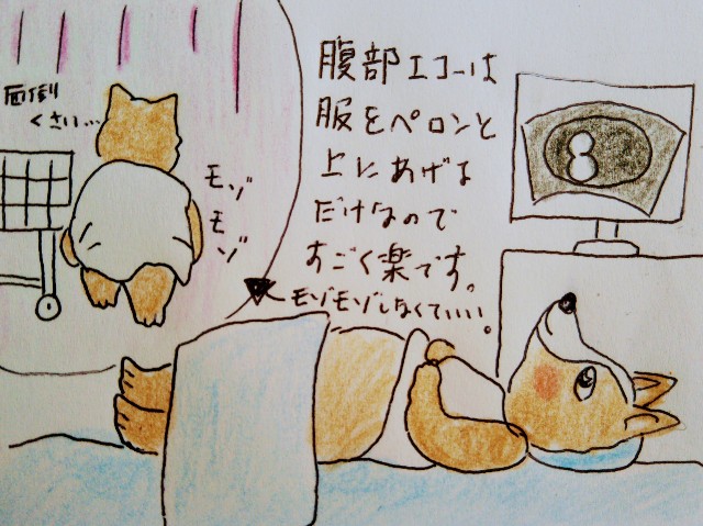f:id:chikogo:20190306135236j:image