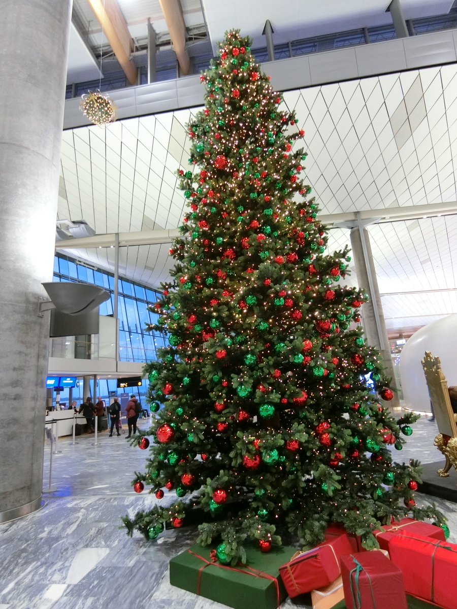 f:id:chikoichi:20191221150858j:plain f:id:chikoichi:20191221150858j:plain