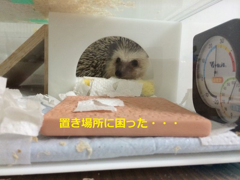 f:id:chikojirou:20150720194339j:plain f:id:chikojirou:20150720194339j:plain