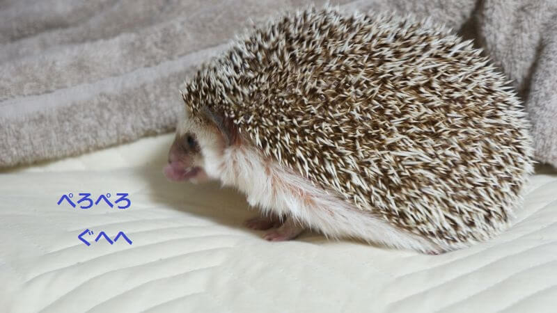 f:id:chikojirou:20160629210930j:plain