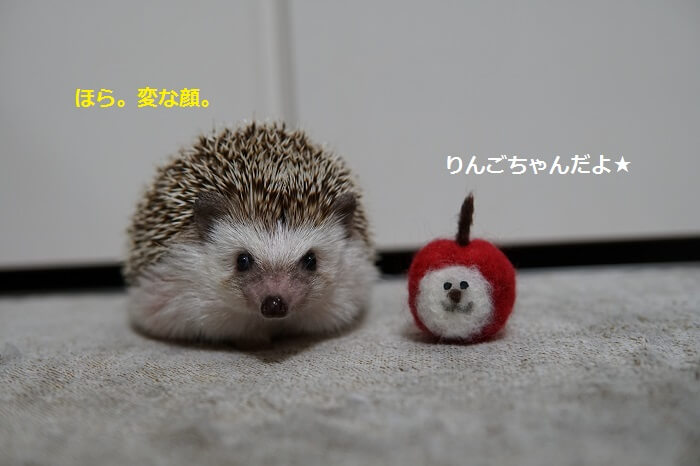 f:id:chikojirou:20161017213639j:plain