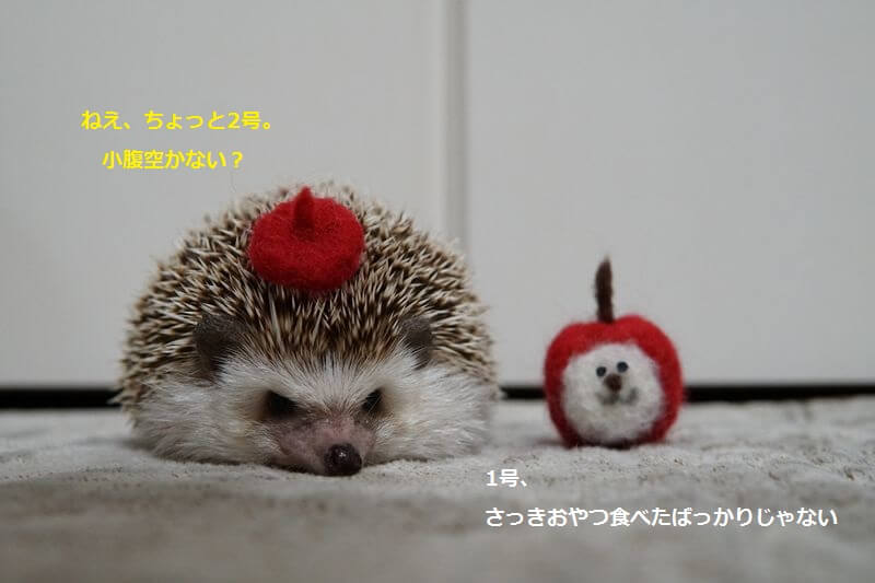 f:id:chikojirou:20161018215637j:plain