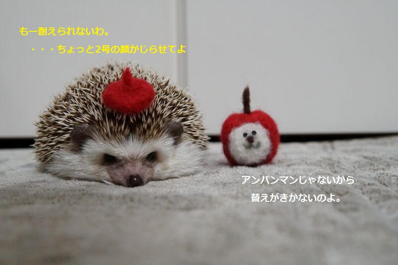 f:id:chikojirou:20161018215653j:plain